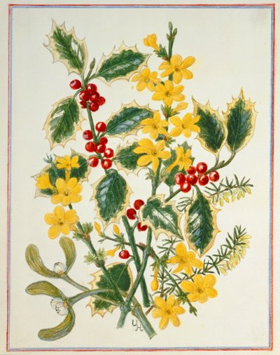Holly, Winter Jasmine, Heath and Mistletoe by Ursula Hodgson